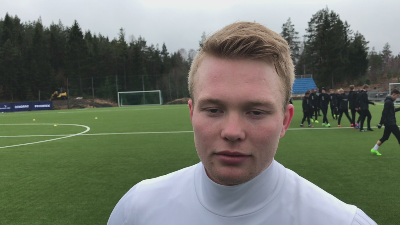 Fabian i fremgang